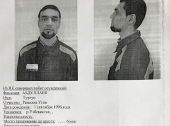 В лесу найдены следы сбежавшего из колонии преступника, которого судили в Воронеже 