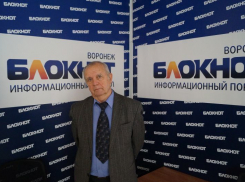 Купив участок под Воронежем, пенсионер наткнулся на целый «змеиный» клубок мошенников
