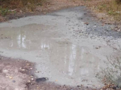 Воронежская полиция нашла виновного в сливе бетона в Северном лесу