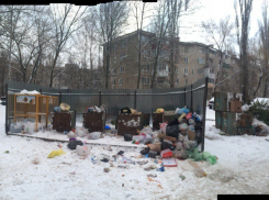 На скандальной мусорке по Хользунова в Воронеже коммунальщики взялись за старое