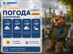 Согреваемся кофе и куртками: прогноз погоды в Воронеже