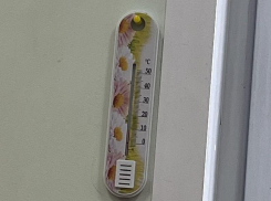 Стало известно о диком холоде в гимназии самой «дорогой» директрисы в Воронеже