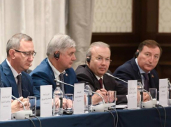 Власти Воронежской области продолжат сотрудничать с Ираном, заявил Александр Гусев