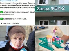 Коронавирус в Воронеже 21 января: +386 зараженных, склонение к вакцинации и «ключ к победе» над ковидом