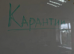 Стало известно, сколько классов закрыли на карантин в Воронеже