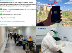 Коронавирус в Воронеже 3 ноября: +800 заражений, подделки QR-кодов и поставки «Спутника Лайт»