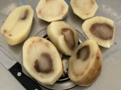 Товар с гнильцой внутри возмутил жительницу Воронежа