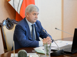 О зарплате воронежских врачей в 58 тыс рублей доложили губернатору Гусеву