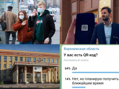 Коронавирус в Воронеже 11 октября: +633 заболевших, штрафы за распространение инфекции, введение QR-кодов и комментарии бизнесменов