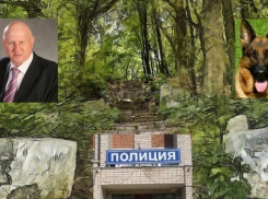 Воронежского депутата Николая Бунеева за избиение врача привлекли к уголовной ответственности