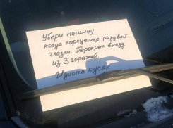 «Идиота кусок», – гневное послание обнаружил на улице житель Воронежа