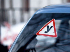 В автошколах в Воронежской области были нарушения