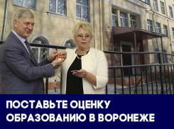 Воронежским учителям урезали зарплаты, а вузы лишались аккредитаций: итоги 2017 года