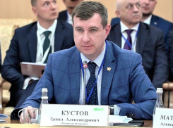 Кустов промахнулся: прогноз воронежского правительства столкнулся с суровой реальностью