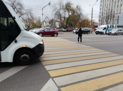 Создать «перепись» опасных переходов попросили воронежское правительство