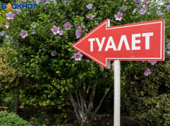 Чиновники предложили воронежцам пользоваться бесплатными туалетами в McDonald’s и KFC