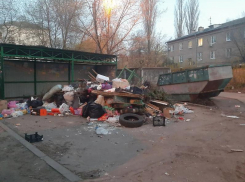 Гора мусора в окружении пустых контейнеров ТКО разродилась во дворе дома в Воронеже