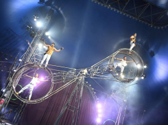 Бразильские барабанщицы, Царь-пушка и огненное шоу: Демидов шоу едет в Воронеж