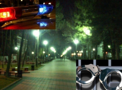 В Воронеже злоумышленник попросил воды и избил благодетеля