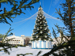 Меры безопасности усилят в новогодние праздники в Воронежской области 