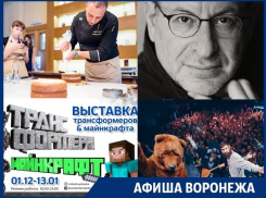 Куда сходить в Воронеже: кондитерский фестиваль, лекция о сексе и концерт «Нейромонаха Феофана»