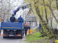 Где в Березовой Роще появится новая пешеходная дорожка 