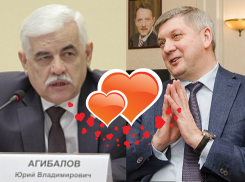 Особую любовь к «золотым парашютам» обнаружил Незыгарь у воронежского губернатора Гусева