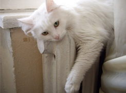 В Воронеже закончился отопительный сезон