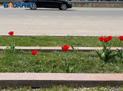 «Скоро будет пройден рубеж»: синоптик рассказал, когда потеплеет в Воронежской области