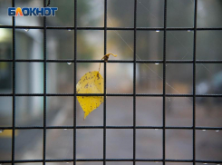 В Воронеже на рабочей неделе похолодает до +9 