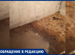 Фу: воронежцы снова пожаловались на фекальный подвал, который не интересует ГК “ПИК-Комфорт”