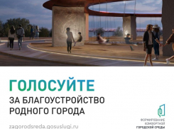 Больше 100 тысяч воронежцев приняли участие в важном онлайн-голосовании