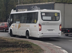 Одна из причин вероятной нехватки автобусов попала на фото в Воронеже