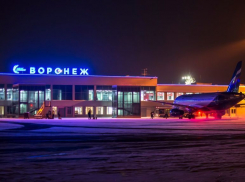 У Воронежского аэропорта хотят отобрать имя Петра I