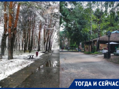 Любимый парк воронежских мам чуть не уничтожил «строительный клан»