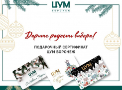 Стало известно, где в Воронеже найти новогодний подарок, который точно понравится