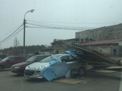 Рекламный щит рухнул на «Пежо» в Воронеже 