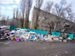 «Стабильное» позорище снова вывалилось на улицы Воронежа