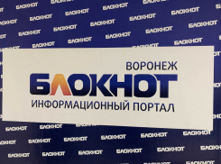 Жители Воронежа назвали самый интересный местный интернет-портал в 2022 году
