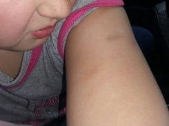 «Дети кричали, ты - жирная!» - как лицеисты жестоко издевались над маленькой девочкой в Воронеже