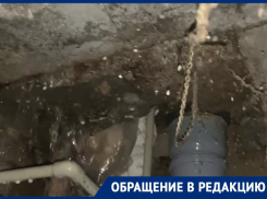 «Всем позвонили, кроме президента»: воронежский подвал превратился в душевую кабину 