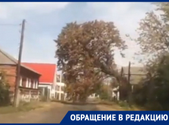 Обман собственной смерти снял автомобилист в Воронежской области 