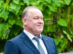 Подозреваемый в мошенничестве на выборах вице-мэр Воронежа сел под  домашний арест