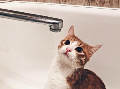 В каких домах Воронежа отключат горячую воду с 13 по 19 июля