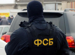 Силовики провели обыски в следственном управлении воронежской полиции