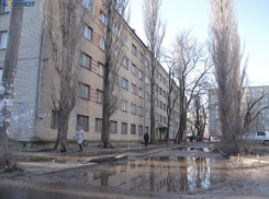 На рабочей неделе в Воронеже потеплеет до +3 