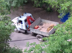 Снаряд, едва не разорвавший парк Южный в Воронеже, эвакуировали