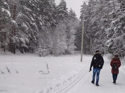 Слухи о страшной зиме-2026 прокомментировал главный метеоролог Воронежа 