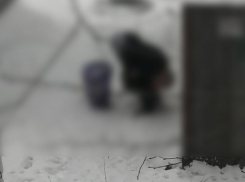 Отсутствие уличных туалетов привело к неприглядному зрелищу под окнами жителей Воронежа