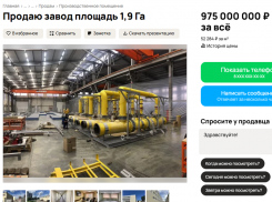 Завод за миллиард пытаются продать через интернет в Воронеже